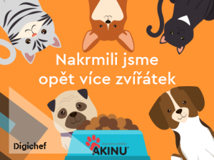 Neusínáme na vavřínech. Jak po výhře na IEA 2019 pomáháme e-shopu Akinu?