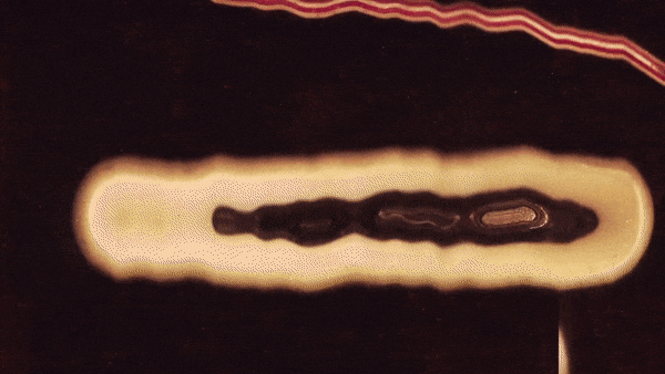 Příklad animace pomocí obyčejného scanneru