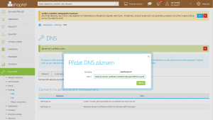 Shoptet - DNS - ověření domény