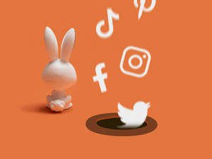 Vzhůru dolů do králičí nory aneb kam svět sociálních sítí spěje