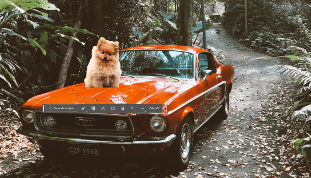 Fotografie auta, na kapotu vložený malý psík