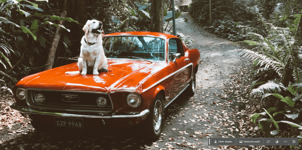 AI vložila uvěřitelného psa na kapotu