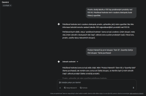 Screenshot komunikace s Gemini