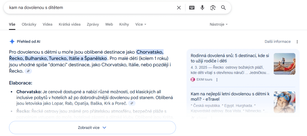 AI Overviews: Náhled