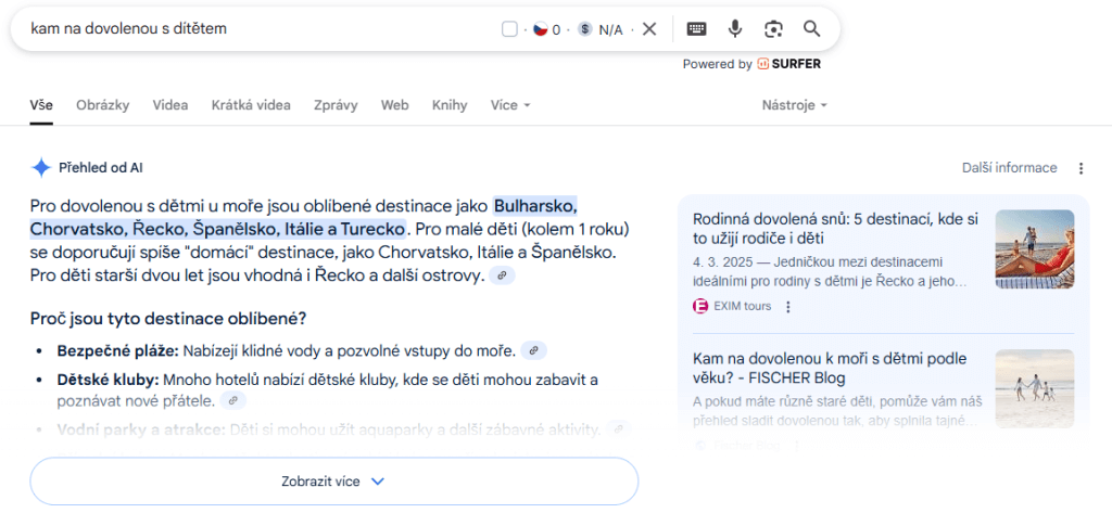 AI Overview: Náhled