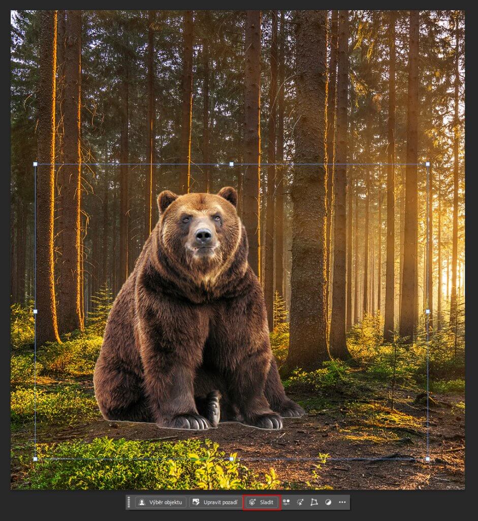 Fotka lesa s nahrubo vloženým medvědem