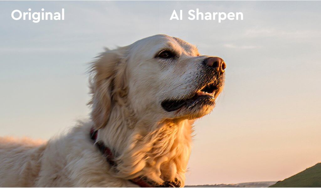 Ukázka "vylepšeného" obrazu pomocí AI Sharpen od Topaz